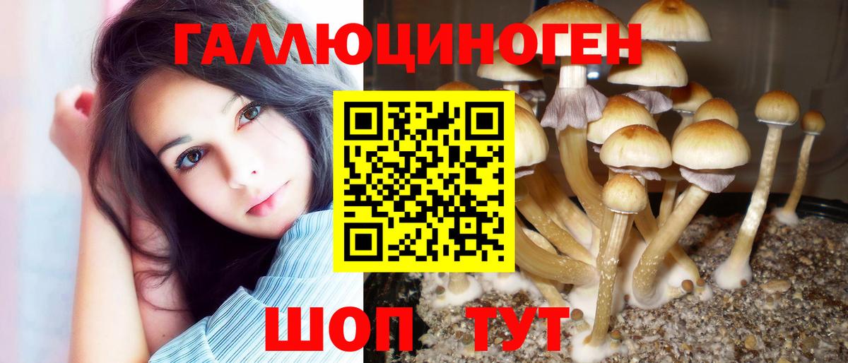 Комсомольск-на-Амуре  Галлюциногенные грибы Magic Shrooms  Вход с VPN 